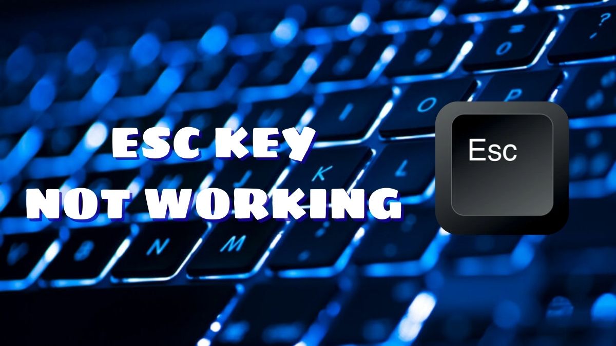 Cách khắc phục phím Esc bị lỗi, bị liệt, không hoạt động đơn giản